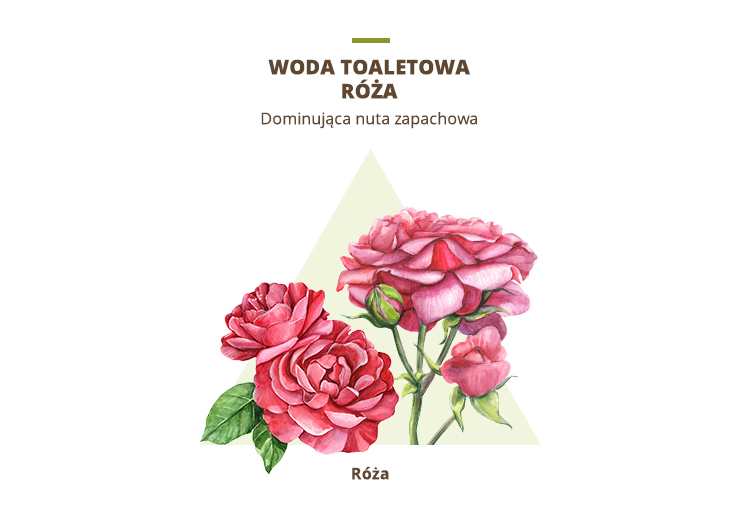 woda toaletowa z róży