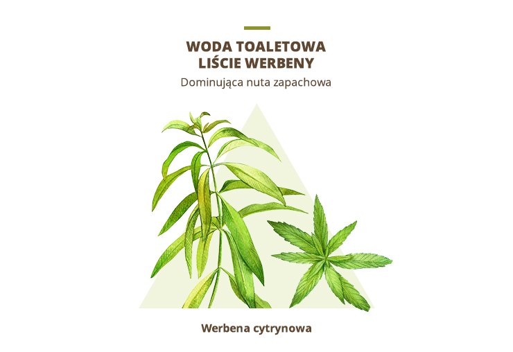 woda toaletowa werbena