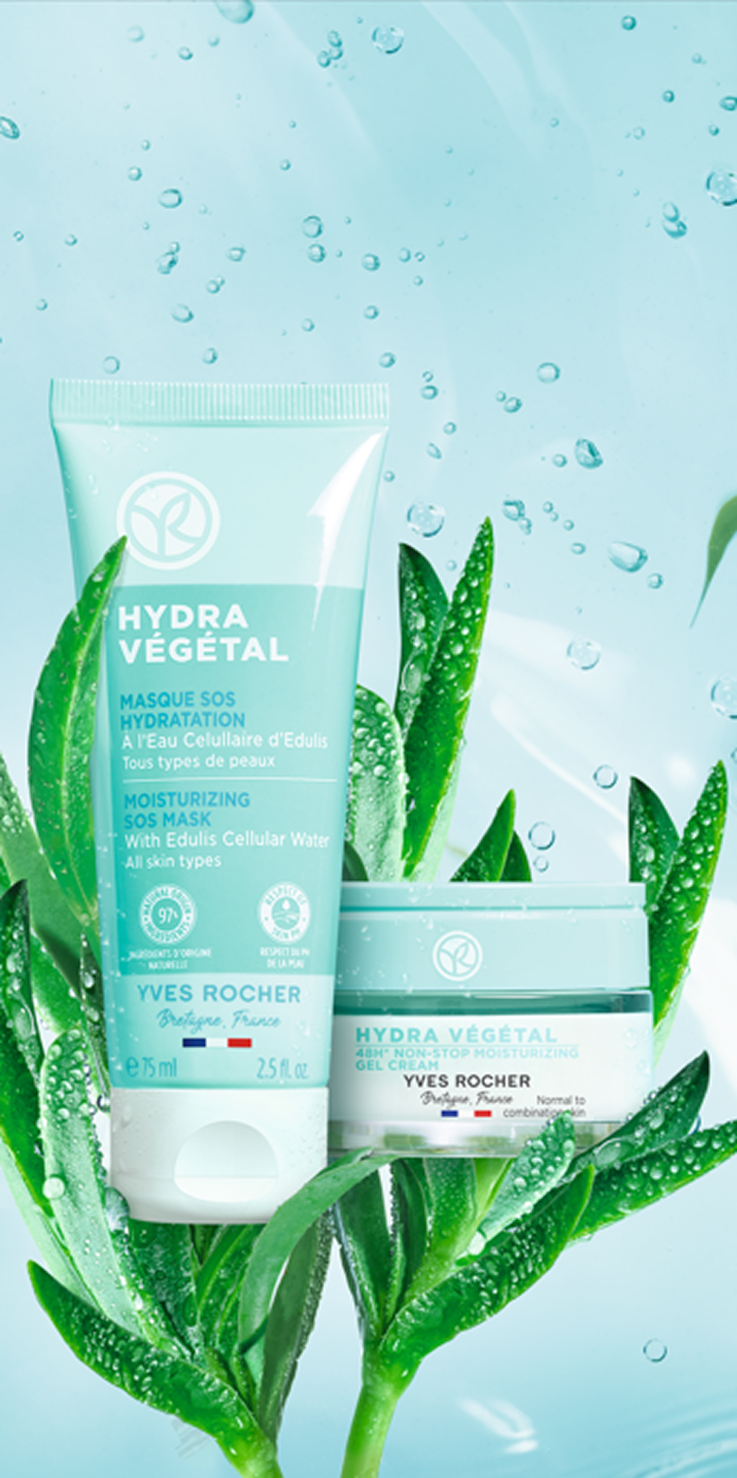 hyrda vegetal